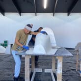 Penguin - African Penguin & Seabird Sanctuary - Xplorio™ Gansbaai