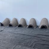 Penguin - African Penguin & Seabird Sanctuary - Xplorio™ Gansbaai