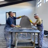 Penguin - African Penguin & Seabird Sanctuary - Xplorio™ Gansbaai