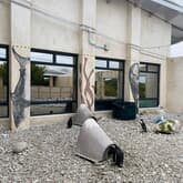 Penguin - African Penguin & Seabird Sanctuary - Xplorio™ Gansbaai