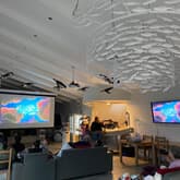 Penguin - African Penguin & Seabird Sanctuary - Xplorio™ Gansbaai