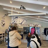 Penguin - African Penguin & Seabird Sanctuary - Xplorio™ Gansbaai