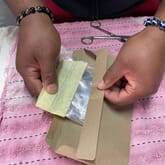 Penguin - African Penguin & Seabird Sanctuary - Xplorio™ Gansbaai