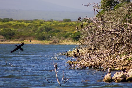 530636751_1206472854856408_2000286228604511847_n_1754987983