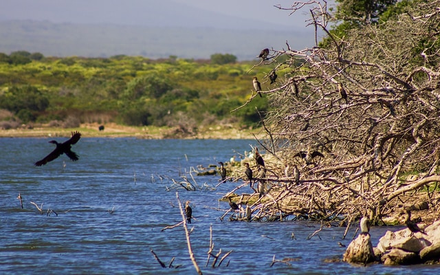 530636751_1206472854856408_2000286228604511847_n_1754987983