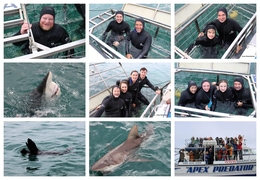 Daily Blog: 11 August 2025 | Shark Cage Diving in South Africa