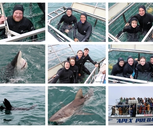 Daily Blog: 11 August 2025 | Shark Cage Diving in South Africa