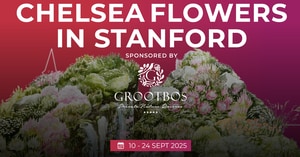 Book a Ticket and Stand a Chance to Win a Prize!