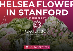 Book a Ticket and Stand a Chance to Win a Prize!