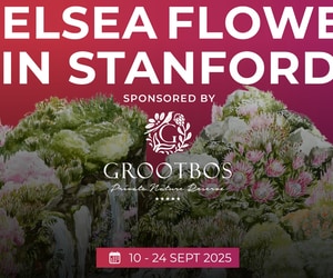 Book a Ticket and Stand a Chance to Win a Prize!