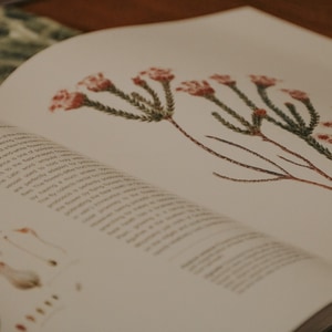 529024091_122173429298506447_4801945251983281202_n_1755066557