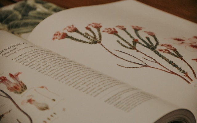 529024091_122173429298506447_4801945251983281202_n_1755066557