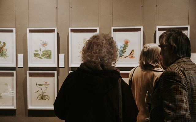 529648822_122173430384506447_5135638463219049280_n_1755066559