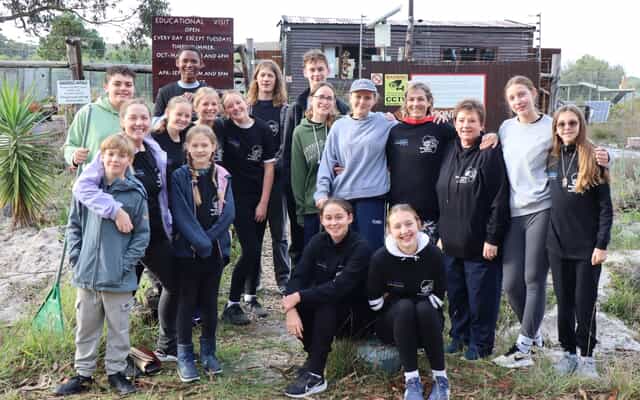 CurroCats1_1755158114