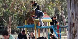 CurroCats3_1755158115