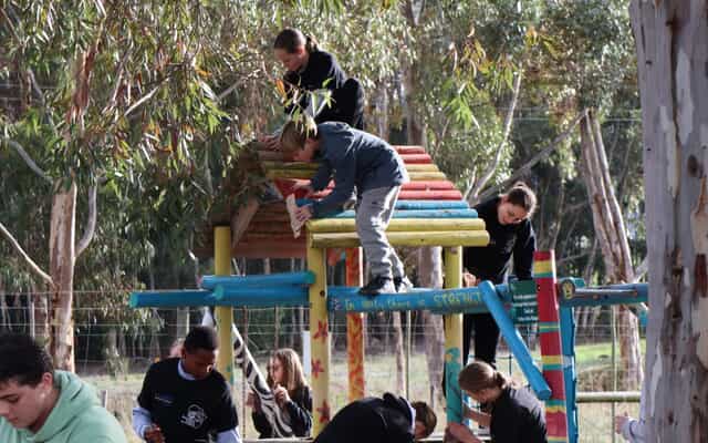 CurroCats3_1755158115