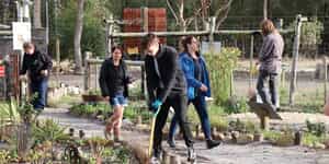 CurroCats4_1755158115