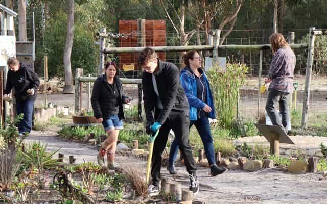 CurroCats4_1755158115