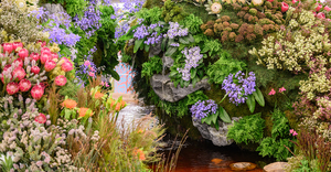 Chelsea Flowers in Stanford: The Countdown Begins!