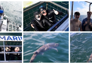 Daily Blog: 18 August 2025 | Shark Cage Diving in South Africa