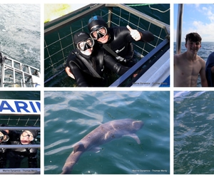 Daily Blog: 18 August 2025 | Shark Cage Diving in South Africa