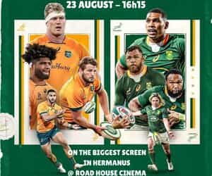 Castle Lager Rugby Championship - On the Big Screen!