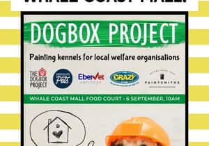 Join the Dogbox Project!