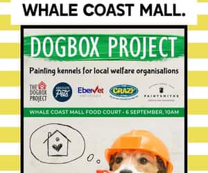 Join the Dogbox Project!