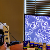 Blood Analysis - C Beyond Health - Xplorio™ Hermanus