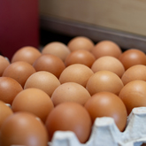 Free Range Eggs - C Beyond Health - Xplorio™ Hermanus