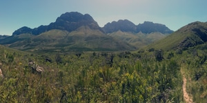 Mobilising wellness through nature…