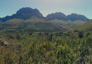 Mobilising wellness through nature…