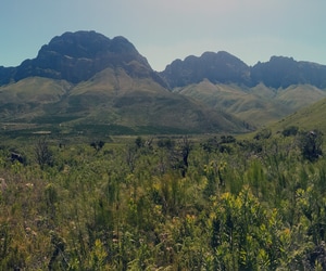 Mobilising wellness through nature…