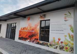 Win Luxury Prizes at Chelsea Flowers in Stanford