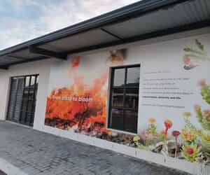 Win Luxury Prizes at Chelsea Flowers in Stanford