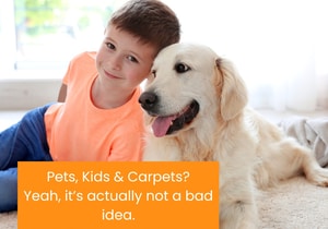 Modern Carpets