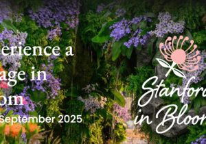 Stanford in Bloom 2025