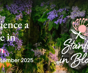 Stanford in Bloom 2025