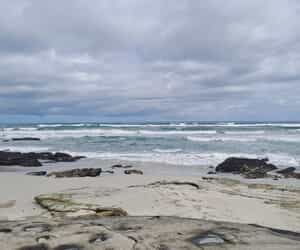 Sunny Days in Walker Bay