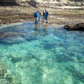 Marine Walk - Lekkerwater - Xplorio™ Swellendam