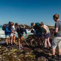 Marine Walk - Lekkerwater - Xplorio™ Swellendam