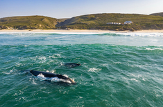 SA_Lekkerwater_Aerial_6_1756191668