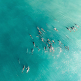 Marine Life - Lekkerwater - Xplorio™ Swellendam