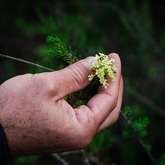 Walk - Lekkerwater - Xplorio™ Swellendam