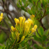 Walk - Lekkerwater - Xplorio™ Swellendam