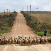 Wild Life - Lekkerwater - Xplorio™ Swellendam