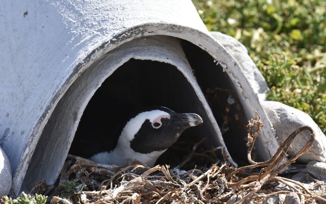 WhatsApp_Image_2025_08_26_at_09.07.10_1_1756197338