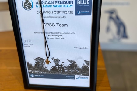 WhatsApp_Image_2025_08_26_at_09.07.11_1756197339