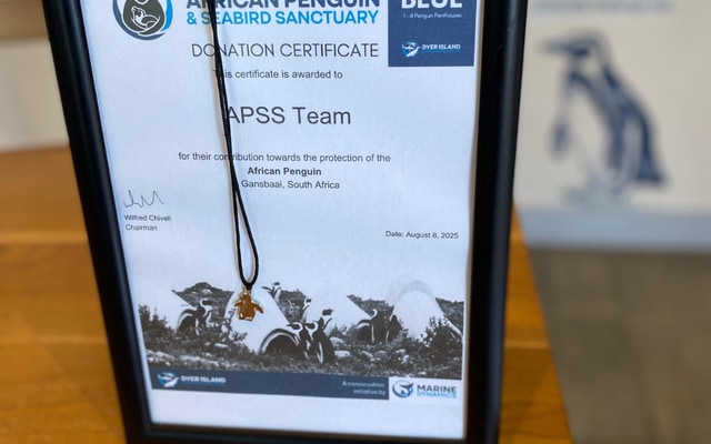 WhatsApp_Image_2025_08_26_at_09.07.11_1756197339