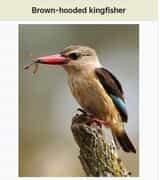 Up Close with Nature!